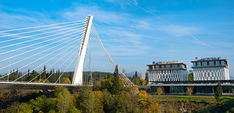 Montenegro Public Financial Management